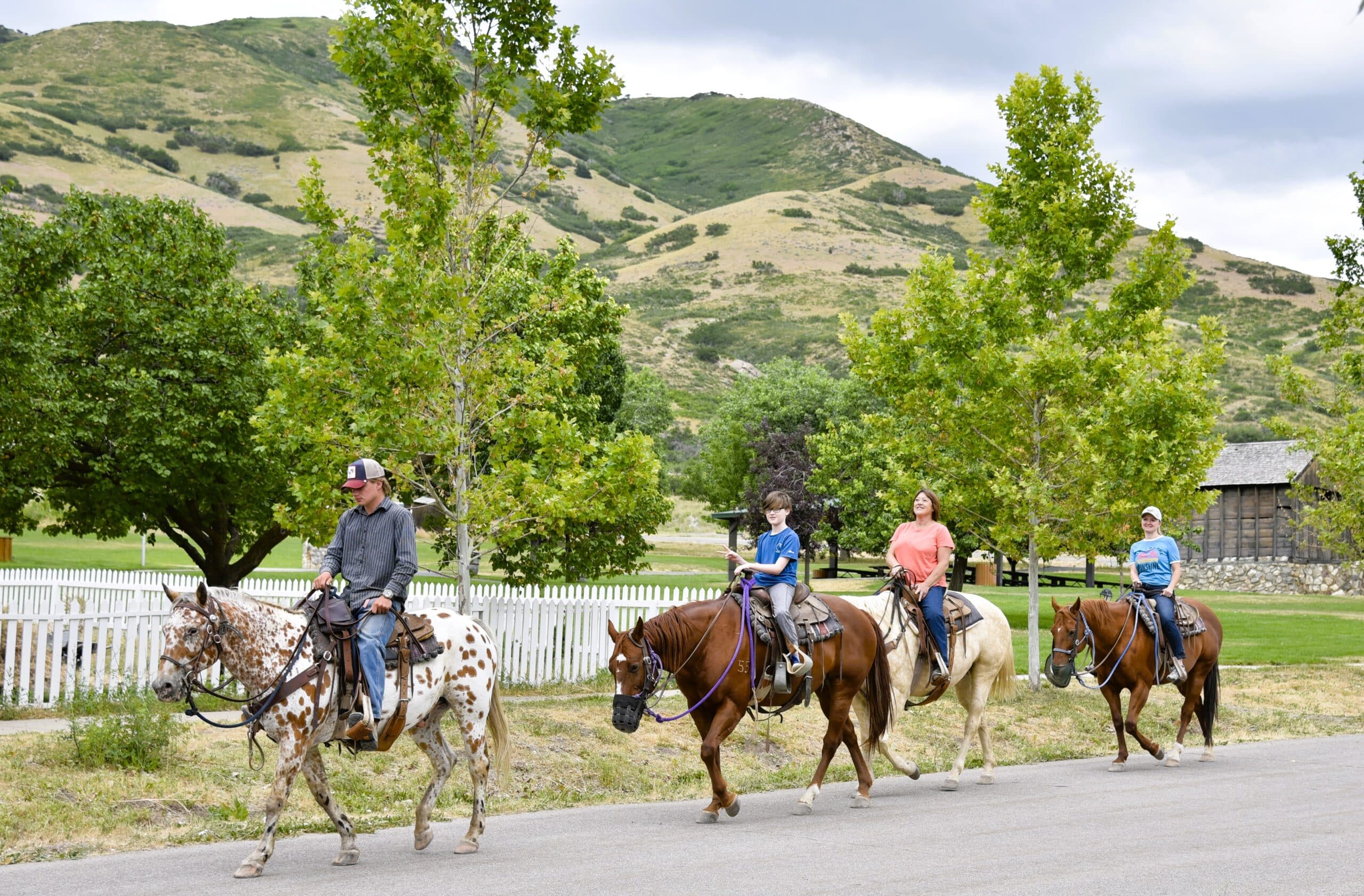 Utah Trail Rides 1 Image
